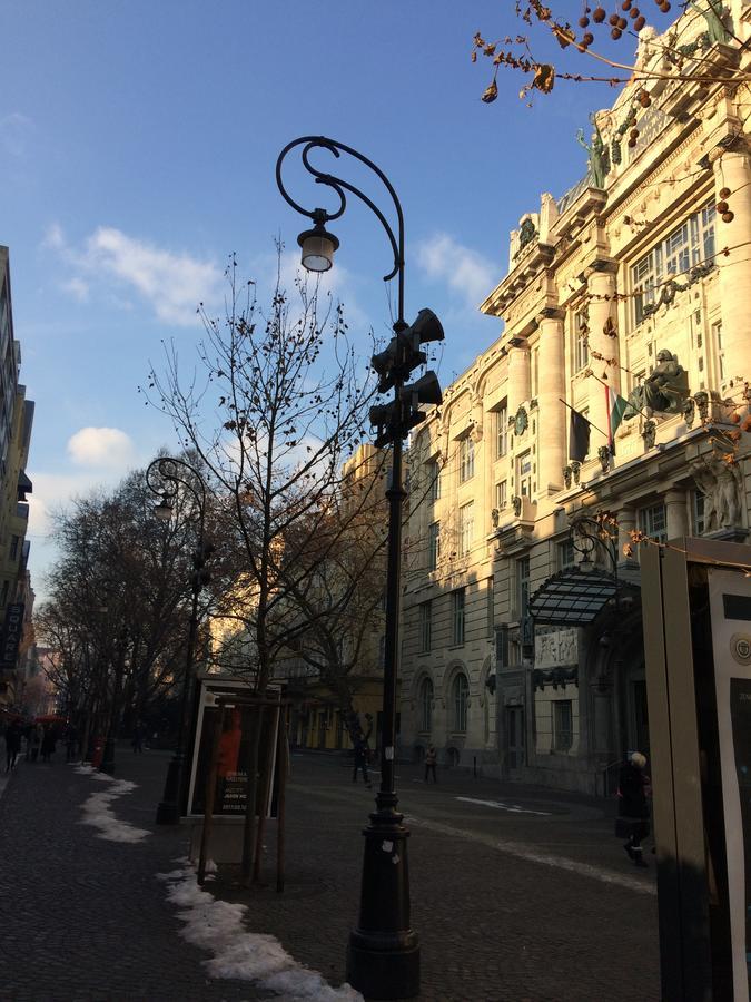 Black Dog Hostel Budapest Exterior photo